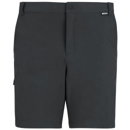 Spodenki męskie Regatta Anti-Insect Travel Light Shorts szary Ash
