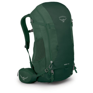 Plecak turystyczny Osprey Volt 45 zielony axo green