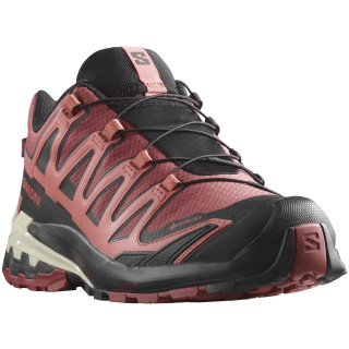 Damskie buty turystyczne Salomon Xa Pro 3D V9 Gore-Tex