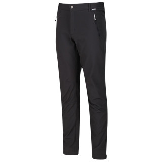 Spodnie męskie Regatta Geo Softshell ll Trousers (Reg zarys Ash