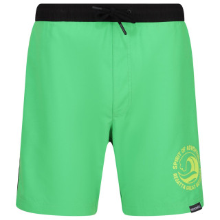 Męski strój kąpielowy Regatta Bentham swim short zielony Fairway Green/Black