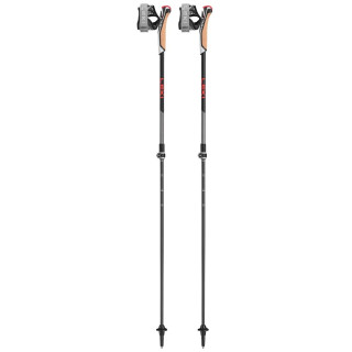 Kijek Nordic walking Leki Poles Instructor Lite czarny/czerwony dark anthracite-silvergray-bright red