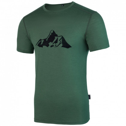 Koszulka męska Warg Merino Mountain 165 Short Comfy zielony Green