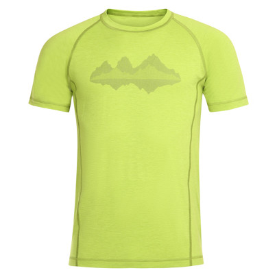 Koszulka męska Alpine Pro Revin zielony green