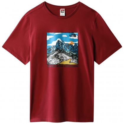 Koszulka męska The North Face M Seasonal Graphic Tee czerwony Cordovan
