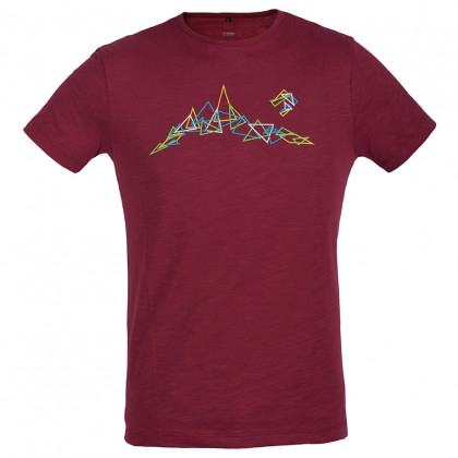 Koszulka męska Direct Alpine Bosco czerwony palisander (triangles)