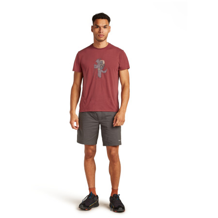 Męska koszulka Icebreaker M Mer Core SS Tee Tech Head