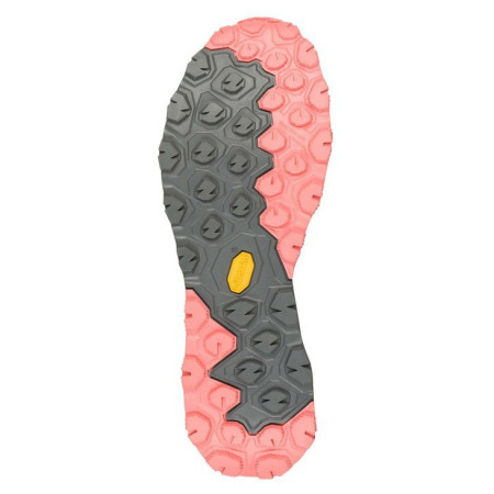 Damskie buty turystyczne Aku Flyrock GTX Ws