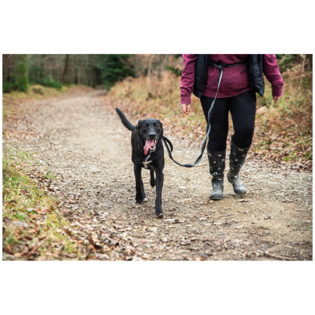 Smycz z amortyzatorem Mountain Paws Shock Absorber Dog Lead