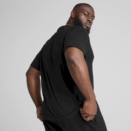 Koszulka męska Puma ESS Small Logo Tee