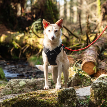 Szelki dla psa Mountain Paws Dog Harness
