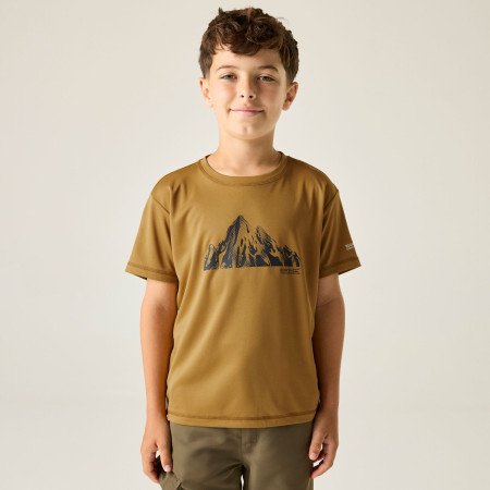 T-shirt dziecięcy Regatta Alvarado Wood Brown