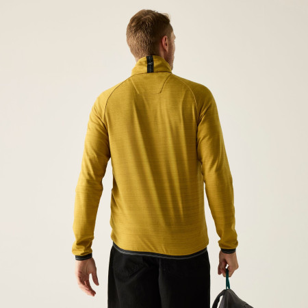 Męska bluza Regatta Malton