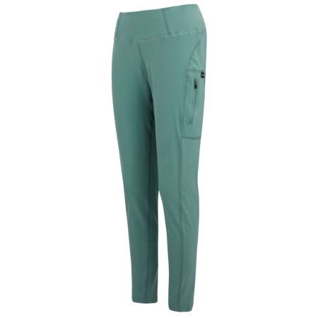 Damskie legginsy Regatta Monira Hiking Legging