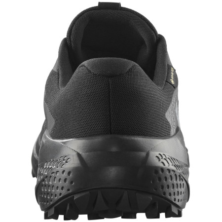 Buty męskie Salomon Alphaglide Gore-Tex