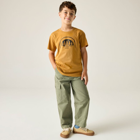T-shirt dziecięcy Regatta Bosley Wood Brown