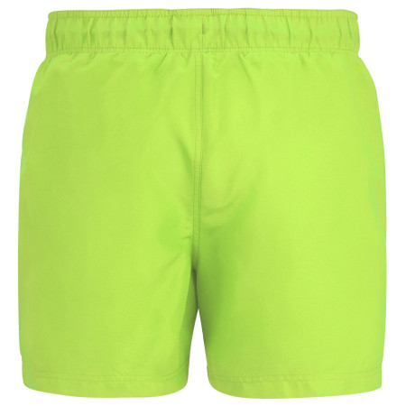 Męski strój kąpielowy Regatta Mawson Swim Shorts III