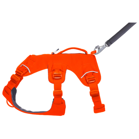 Szelki dla psa Ruffwear Web Master™ Harness