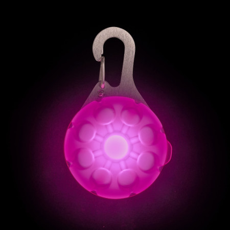 Świecąca obroża dla psa Nite Ize SpotLit Rechargeable Collar Light