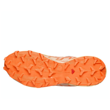 Damskie buty do biegania Salomon Speedcross 6
