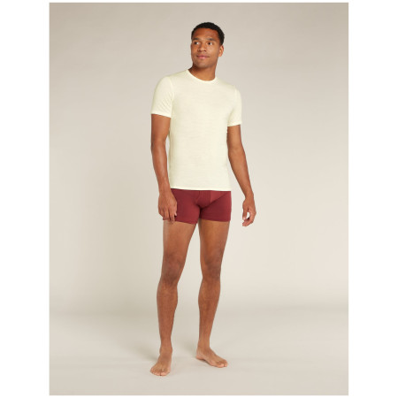 Koszulka męska Icebreaker M Anatomica SS Crewe