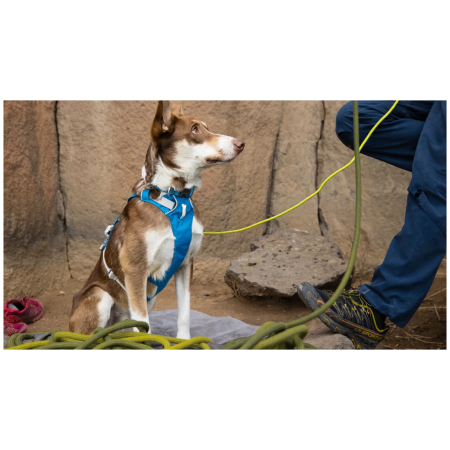 Szelki dla psa Ruffwear Flagline™ Harness