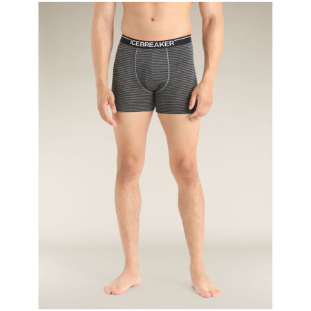 Męskie bokserki Icebreaker Mens Anatomica Boxers