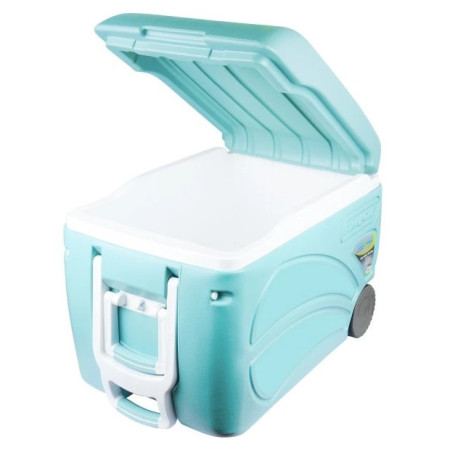 Lodówka turystyczna Pinnacle Proxon 45L