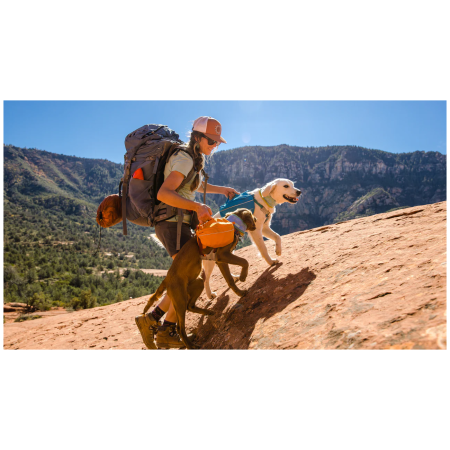 Plecak dla psa Ruffwear Approach™ Pack