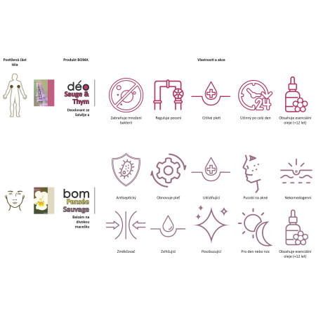 Balsam do skóry Boma BOM Wiązówka 22 g