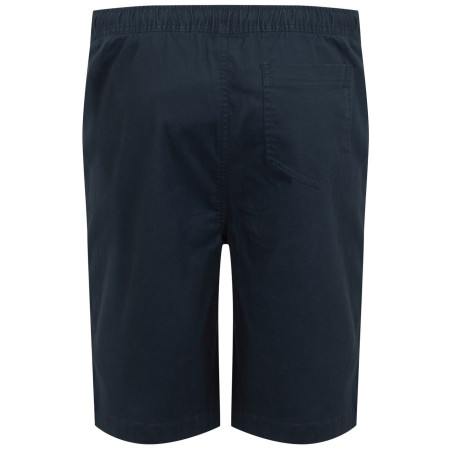 Męskie szorty Regatta Aldan Short