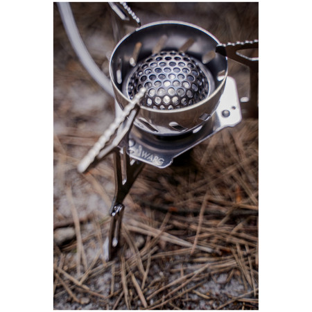 Kuchenka Warg Glacier