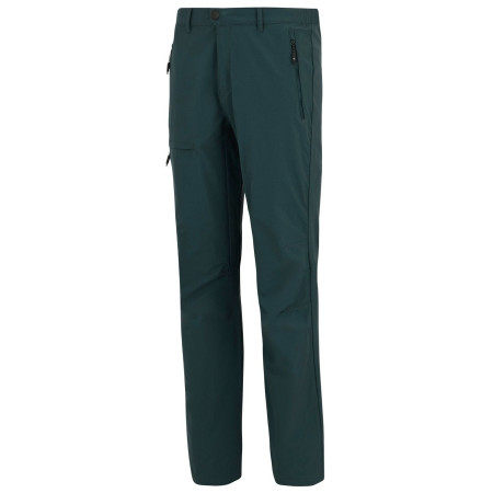 Spodnie męskie Regatta Highton Trousers II