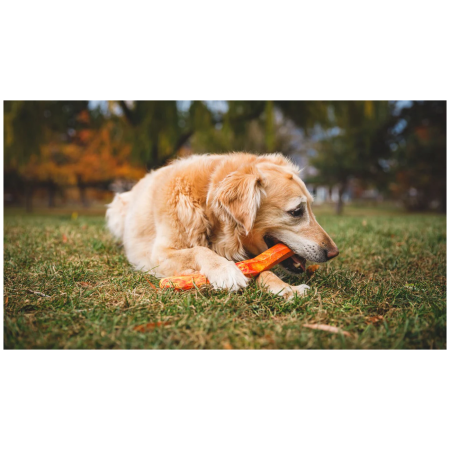 Zabawka dla psa Ruffwear Gnawt-a-Stick™ Toy
