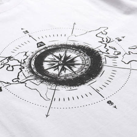 Koszulka męska Alpine Pro Morol