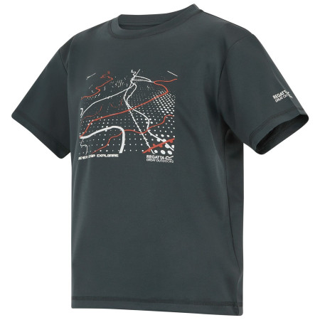 T-shirt dziecięcy Regatta Alvarado Seal Grey