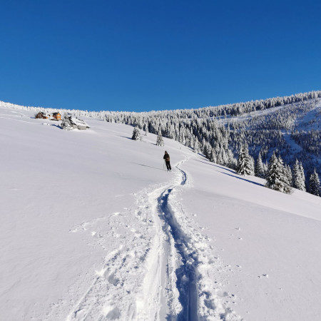 Skialpinizm a bezpieczeństwo w górach