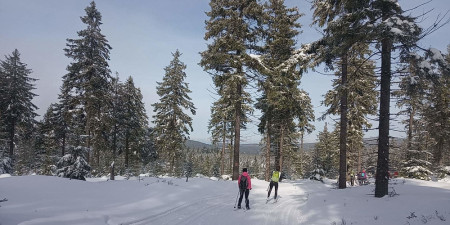 Trasy narciarstwa biegowego na Paprsku