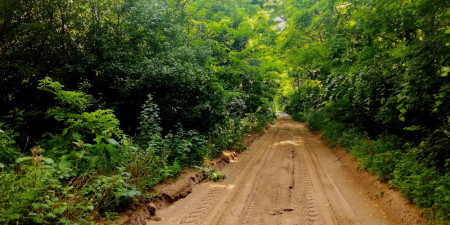 Martin Surovec – Walka o przetrwanie