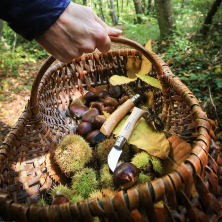 Nóż składany Opinel N°07 Inox