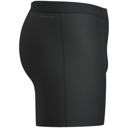 Męskie bokserki Icebreaker M Mer Core Boxers