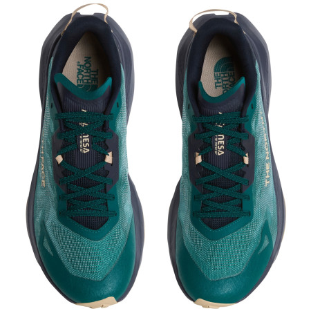 Buty do biegania dla mężczyzn The North Face M Altamesa 300 V2