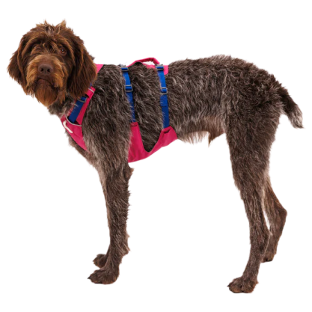 Szelki dla psa Ruffwear Flagline™ Harness
