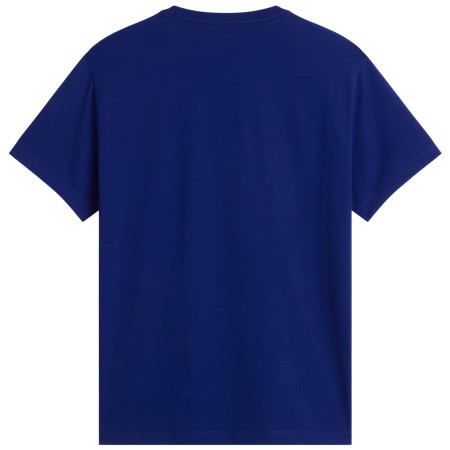 Koszulka męska The North Face Evolution Simple Dome Regular Short Sleeve Tee