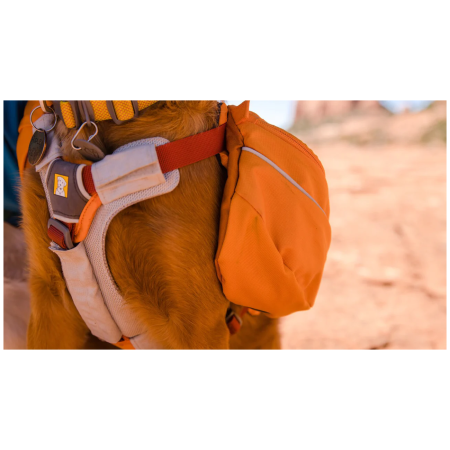 Plecak dla psa Ruffwear Approach™ Pack