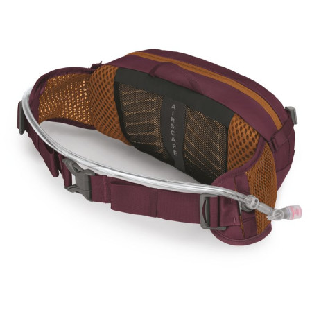 Nerka Osprey Seral 4