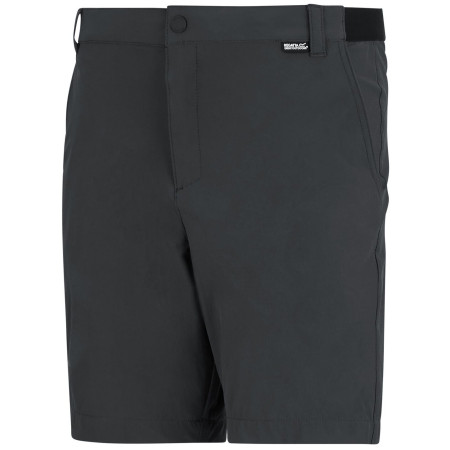 Spodenki męskie Regatta Anti-Insect Travel Light Shorts