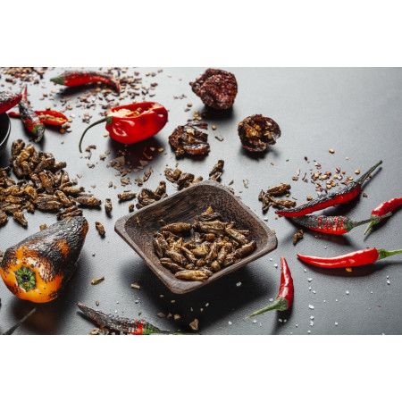 Świerszcze jadalne Sens Chrupiące i pieczone świerszcze na ostro- zestaw upominkowy 4 smaków