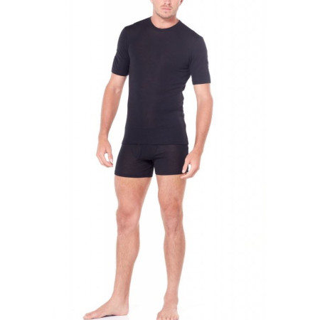 Koszulka męska Icebreaker Mens 175 Everyday SS Crewe