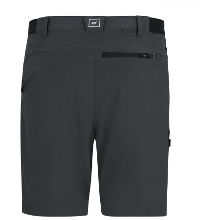 Spodenki męskie Regatta Anti-Insect Travel Light Shorts